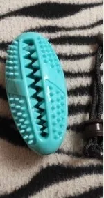 Brosse à Dents Pour Chien - DogsCare