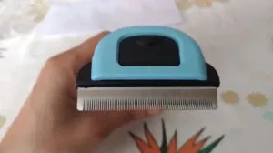 Brosse anti-poil - Recommandée par les vétérinaires