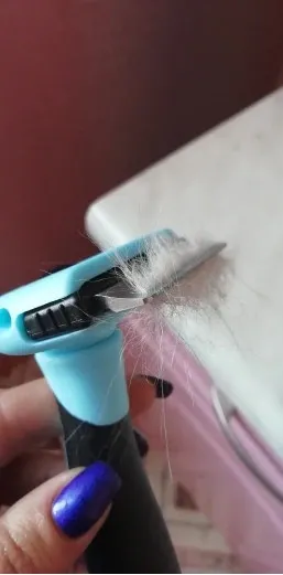 Brosse anti-poil - Recommandée par les vétérinaires