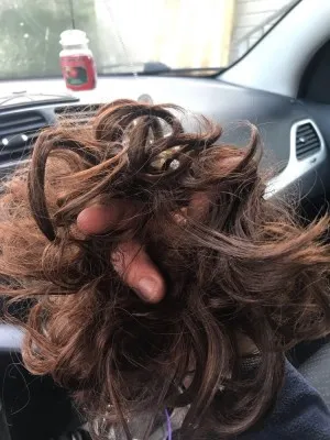 Chignon Facile