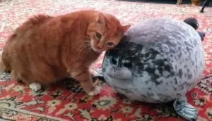 Coussin en Peluche - Forme de Phoque