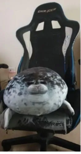 Coussin en Peluche - Forme de Phoque