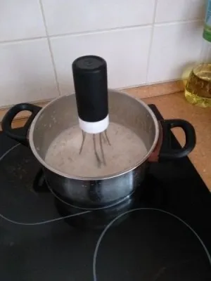 Fouet Automatique