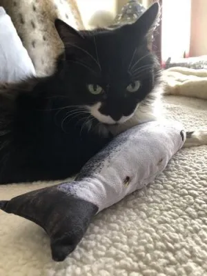 Jouet Poisson Pour Chat Ultra-réaliste