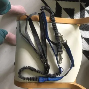 Laisse Main-Libre Élastique Pour Chien