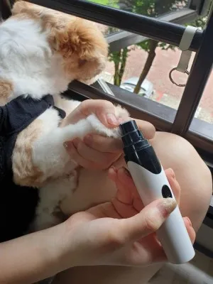 Lime à Ongles Électrique Pour Animaux De Compagnie