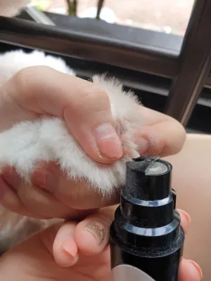 Lime à Ongles Électrique Pour Animaux De Compagnie