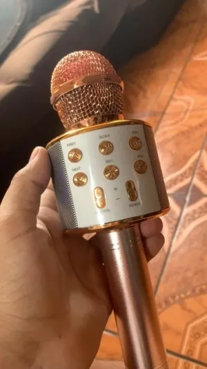 Micro de Karaoké sans fil Bluetooth