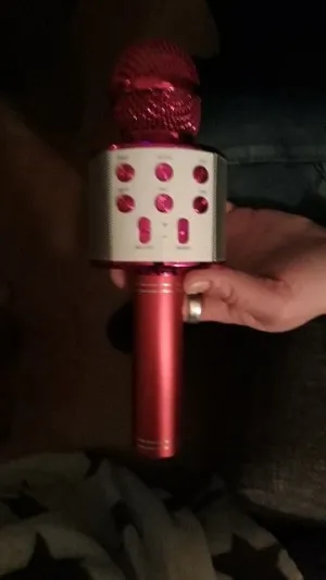 Micro de Karaoké sans fil Bluetooth