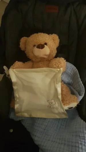 Ours en Peluche Peek-a-Boo
