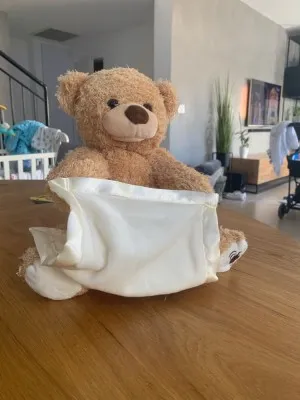 Ours en Peluche Peek-a-Boo