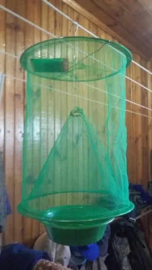 Piège à Mouches Réutilisable