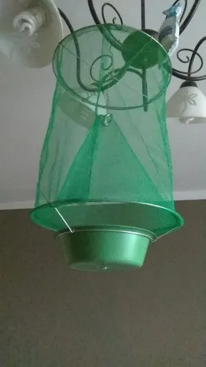 Piège à Mouches Réutilisable