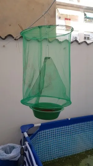 Piège à Mouches Réutilisable