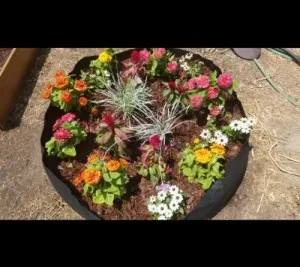 Plate-bande Surélevée En Tissu