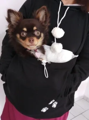 Sweat à capuche poche kangourou pour chien et chat