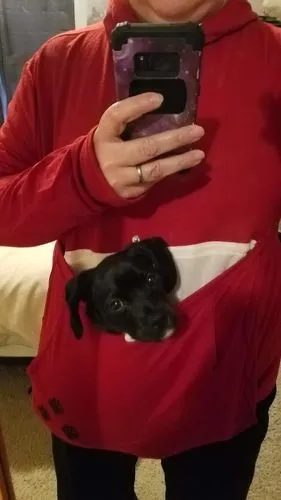 Sweat à capuche poche kangourou pour chien et chat