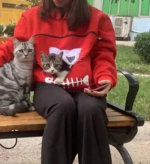 Sweatshirt Pull Poche Kangourou pour Chat