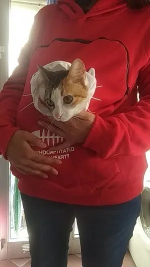Sweatshirt Pull Poche Kangourou pour Chat