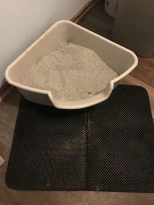 Tapis De Litière Pour Chat