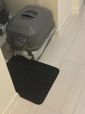 Tapis De Litière Pour Chat