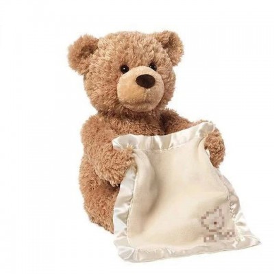 Ours Teddy Cache-cache