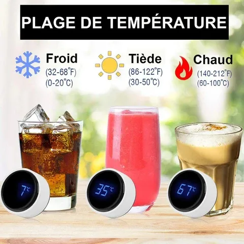 Bouteille Thermo Isotherme avec Affichage de Température Bouteille Thermo Isotherme avec Affichage de Température