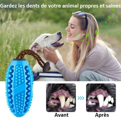 Brosse à Dents Pour Chien - DogsCare