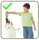 Brosse à Dents Pour Chien - DogsCare
