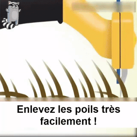 Brosse anti-poil - Recommandée par les vétérinaires