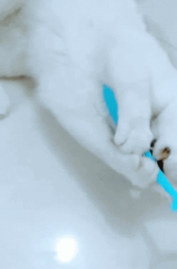 Brosse de toilettage Auto-nettoyante Pour Chat