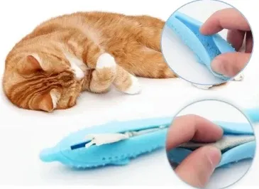 Brosse de toilettage Auto-nettoyante Pour Chat