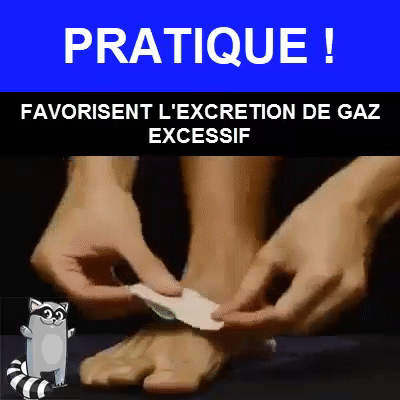 Compresses à base de plantes & Gingembre (lot de 10)