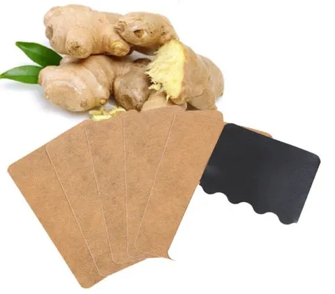 Compresses à base de plantes & Gingembre (lot de 10)