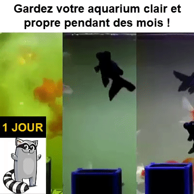 Cube Purificateur d