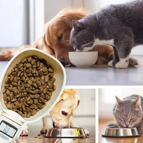 Pelle Cuillère de dosage pour Chien et Chat