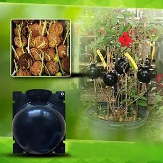 Dispositif De Greffage Des Plantes