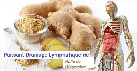 DRAINAGE LYMPHATIQUE HUILE DE GINGEMBRE DRAINAGE LYMPHATIQUE HUILE DE GINGEMBRE