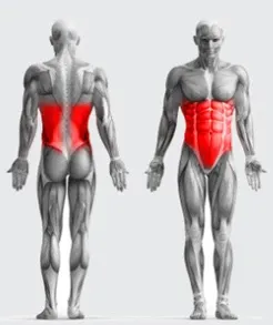 Élastiques de tirage Pour Le Sport Élastiques de tirage Pour Le Sport