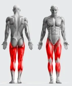 Élastiques de tirage Pour Le Sport Élastiques de tirage Pour Le Sport