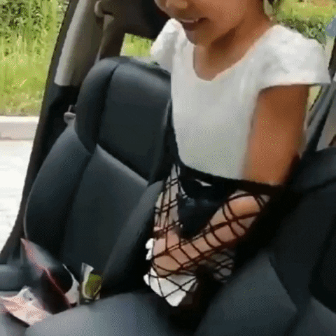 Filet de Rangement pour Voiture