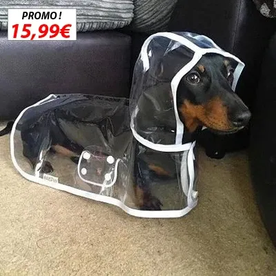 Imperméable Transparent Pour Chien
