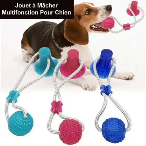 Jouet à Mâcher pour Chien - Spécial Molaire Délicate