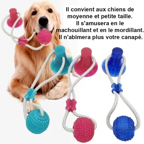 Jouet à Mâcher pour Chien - Spécial Molaire Délicate