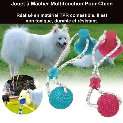 Jouet à Mâcher pour Chien - Spécial Molaire Délicate