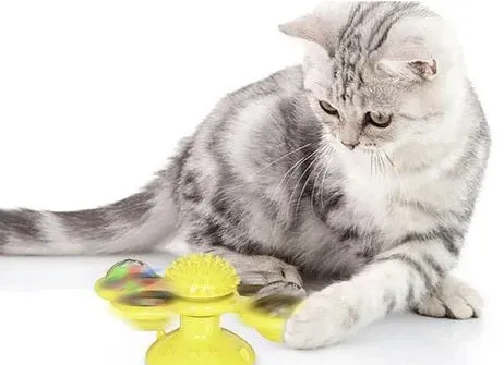 Jouet pour chat - Nettoyage dents des chats Jouet pour chat - Nettoyage dents des chats