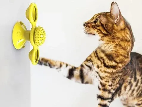 Jouet pour chat - Nettoyage dents des chats Jouet pour chat - Nettoyage dents des chats