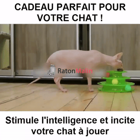 Jouet Poisson Pour Chat Ultra-réaliste