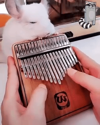 Kalimba 17 touches - Piano à Pouces En Bois d