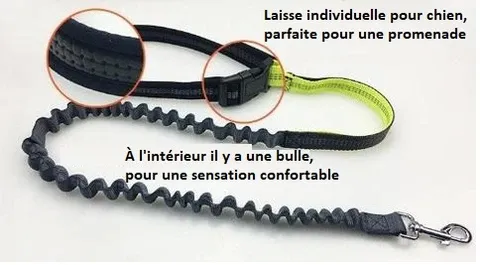 Laisse Main-Libre Élastique Pour Chien Laisse Main-Libre Élastique Pour Chien